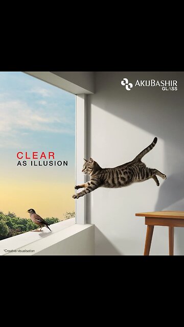 Fearless Felines: Epic Cat Jumps, Flips & Fails