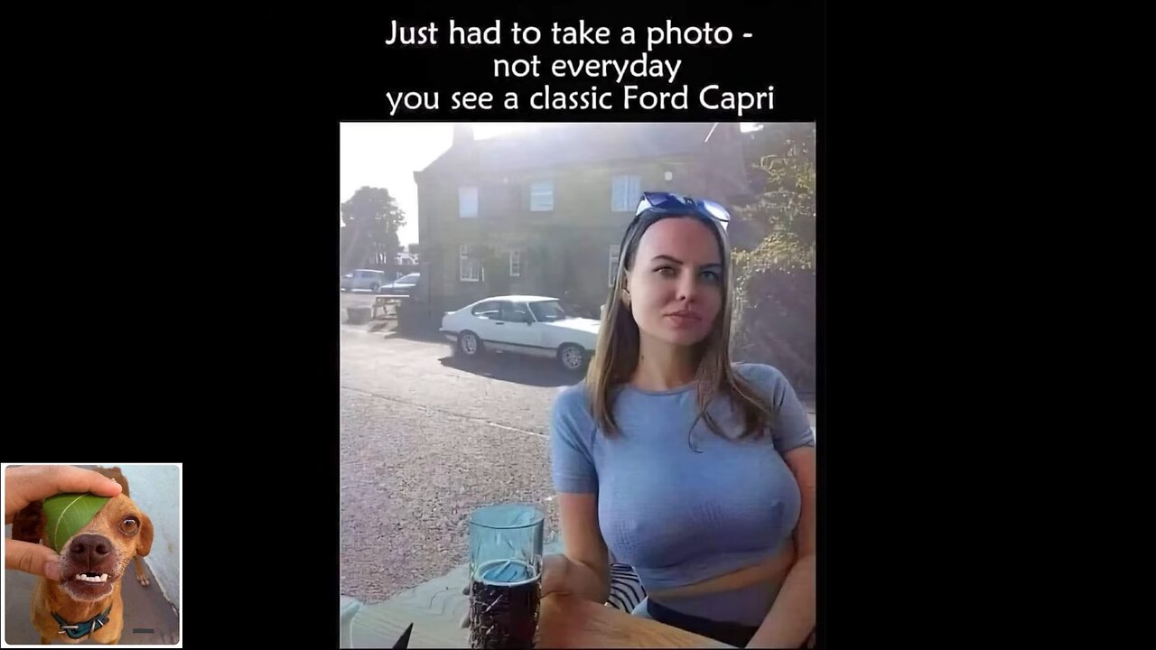 Memes That Will 99.0317% Make You Laugh. (e541)