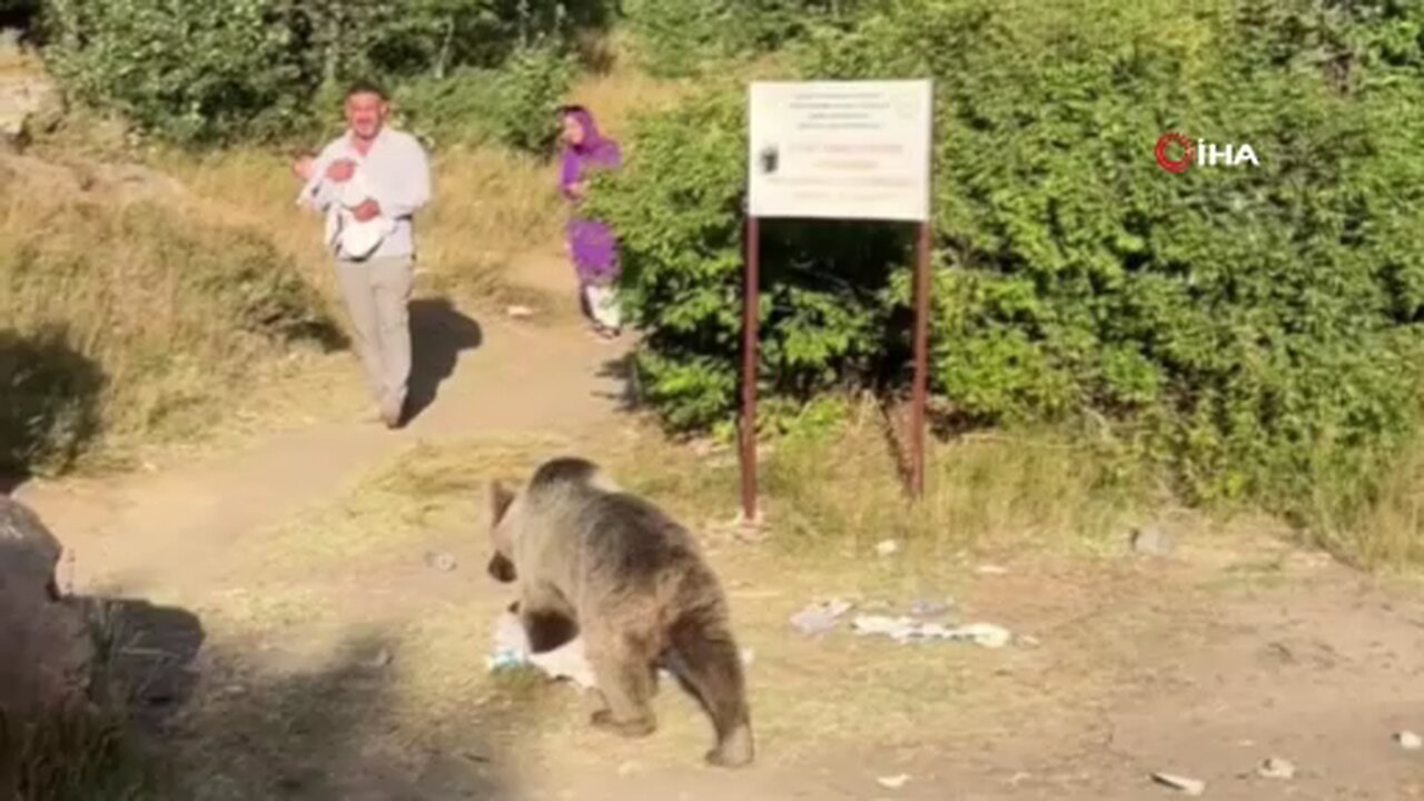 Kucağında bebekle ayı saldırısına uğradı
