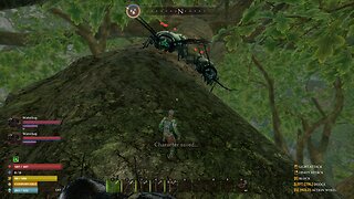 Running Wild With The Bugs - Smalland - Part 1