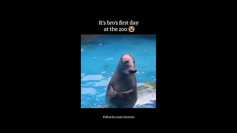 Bro's first day at the zoo
