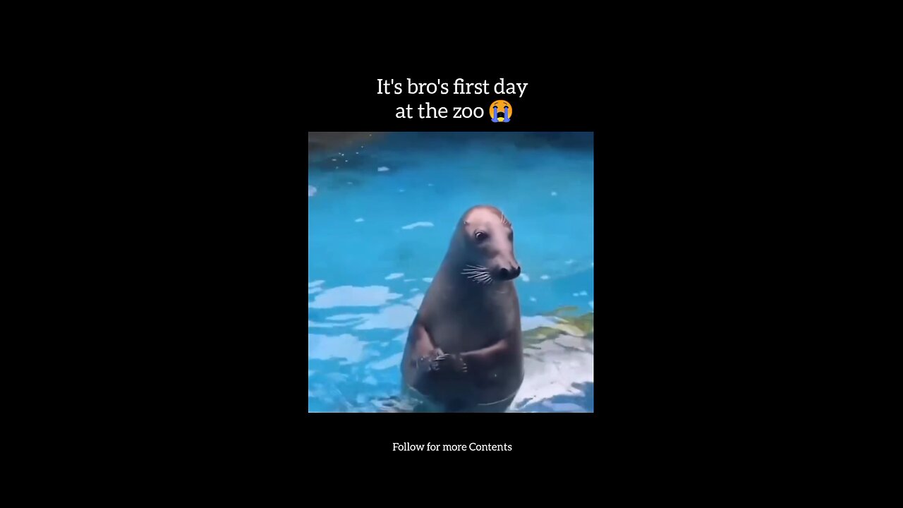 Bro's first day at the zoo