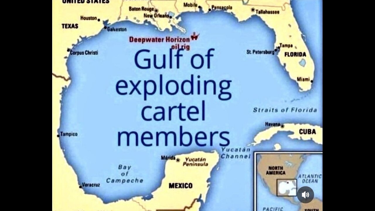 WTPN SITUATION UPDATE FEATURING RESTORED REPUBLIC 1/31/2026.......