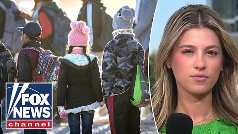 JUST IN: Four charged in DISTURBING international child smuggling ring