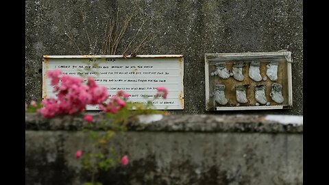 HORROR: 796 dead babies dumped in septic tank at Roman Catholic home for unwed mothers in Ireland