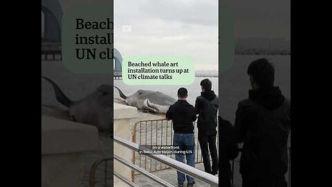 "Promoting Climate Talks through Art: Whales Beached Installation at UN - ABC News"
