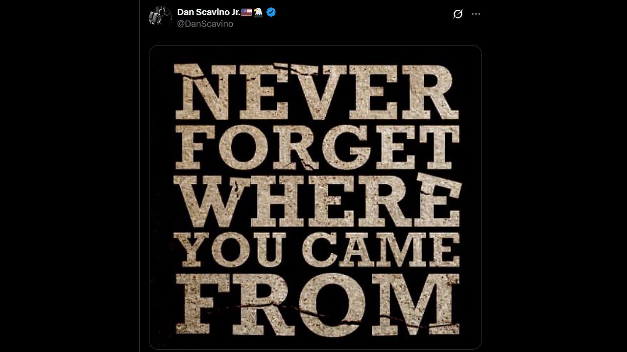 3/30/2025 - Liberation Day on Tuesday Tariff Day! SWF! Never forget where you came from!
