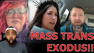 MSNBC DEVASTATED As Trans Families FLEE The United States Over Red States Passing 'ANTI-TRANS' Laws!
