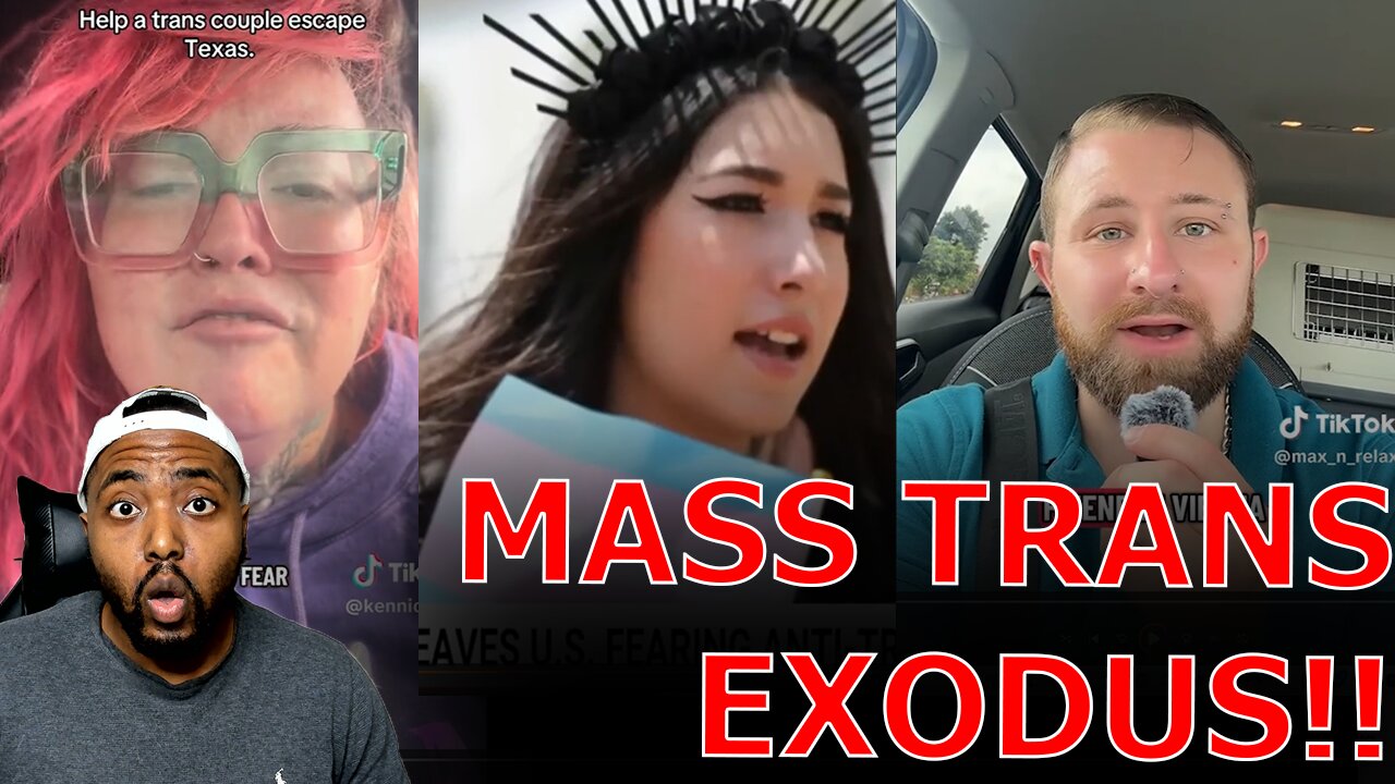 MSNBC DEVASTATED As Trans Families FLEE The United States Over Red States Passing ANTI-TRANS Laws!