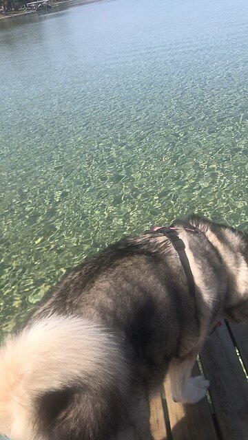 Monday April 28, I have given this land to your descendants.