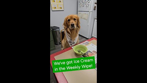 Who wants some Grand Champion Ice Cream?