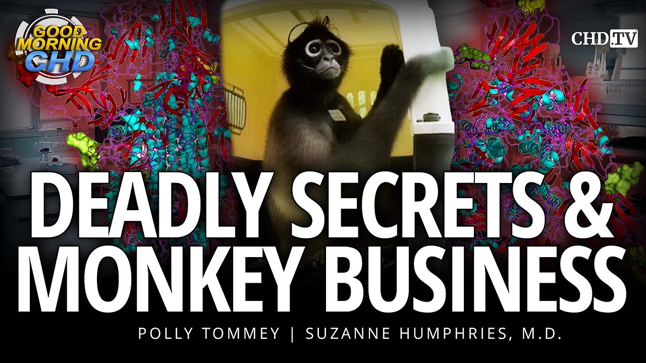 Deadly Secrets & Monkey Business
