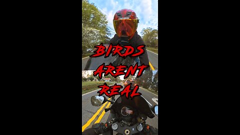 Birds Aren't Real!