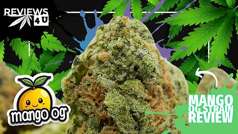 MANGO OG STRAIN REVIEW | REVIEWS 4 U