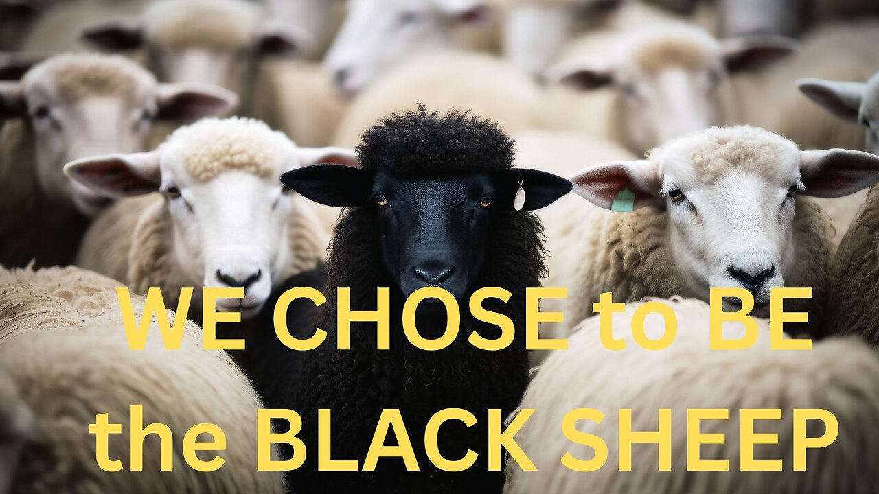 WE CHOSE to BE the BLACK SHEEP ~JARED RAND GLOBAL MEDITATION CALL 03-31-2025