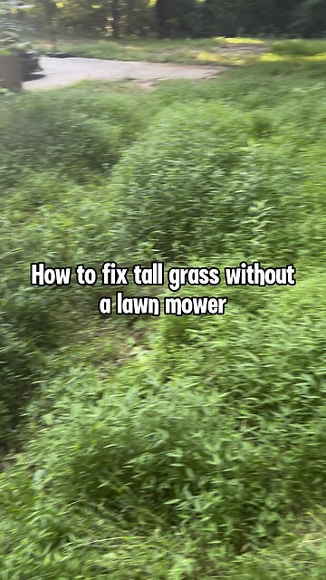 How to fix tall grass without a lawn mower