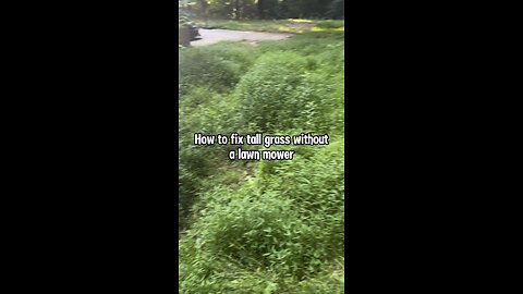 How to fix tall grass without a lawn mower