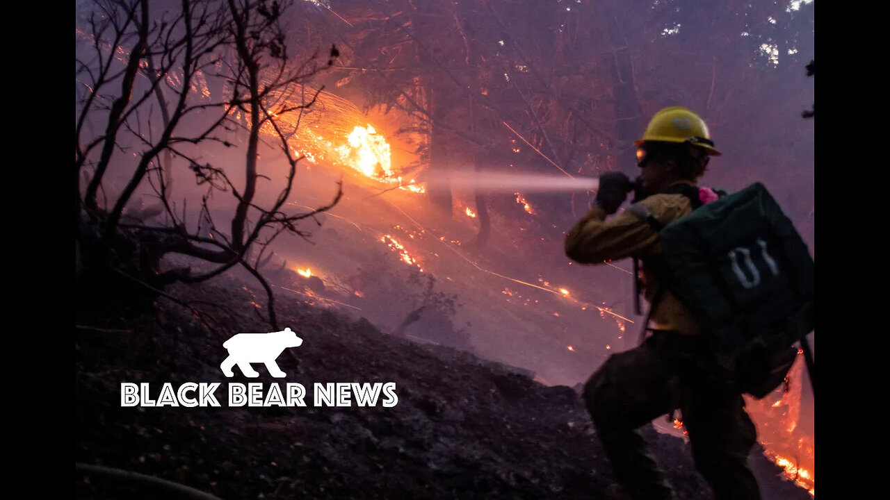 Rake The Forest | Tariffs Reversed! | Homeless Funds Investigated