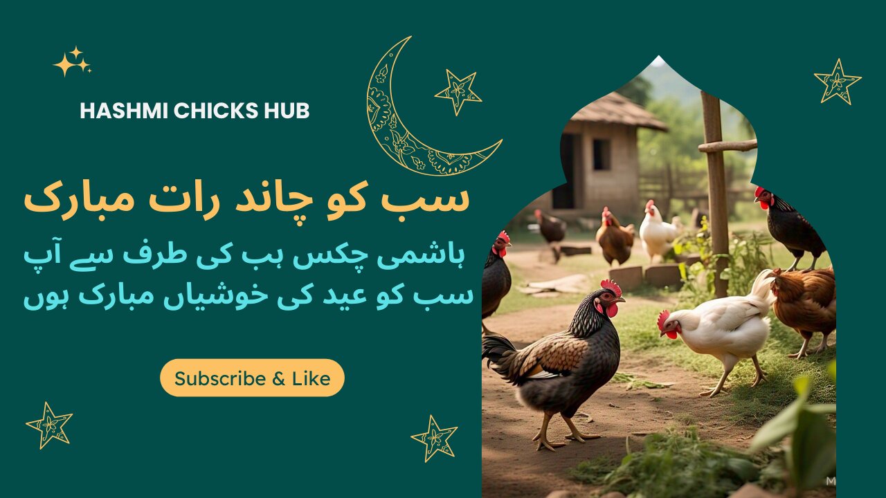 3️⃣ "Eid Mubarak 2025! Best Outfits, Delicious Food & Family Celebrations 🎊🥳"