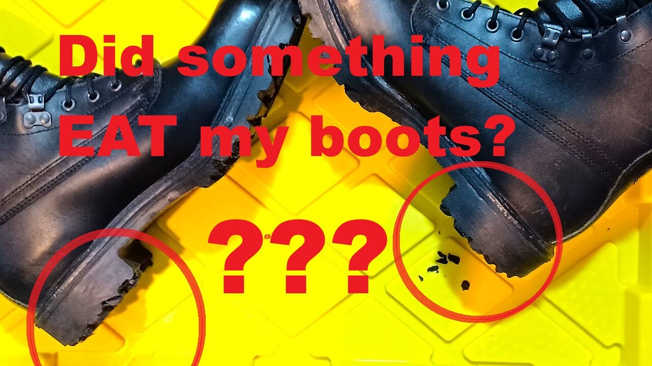 POST-MORTEM: Did something EAT my boots? What happened to these BOOTS ??? SHOW AND TELL[223]