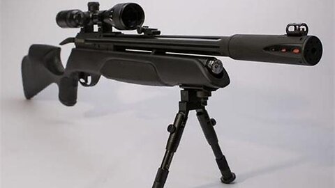 "Exploring the Constitutionality of All Gun Laws in the USA"