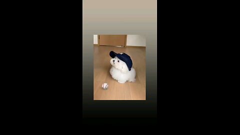 कितना मासूम है