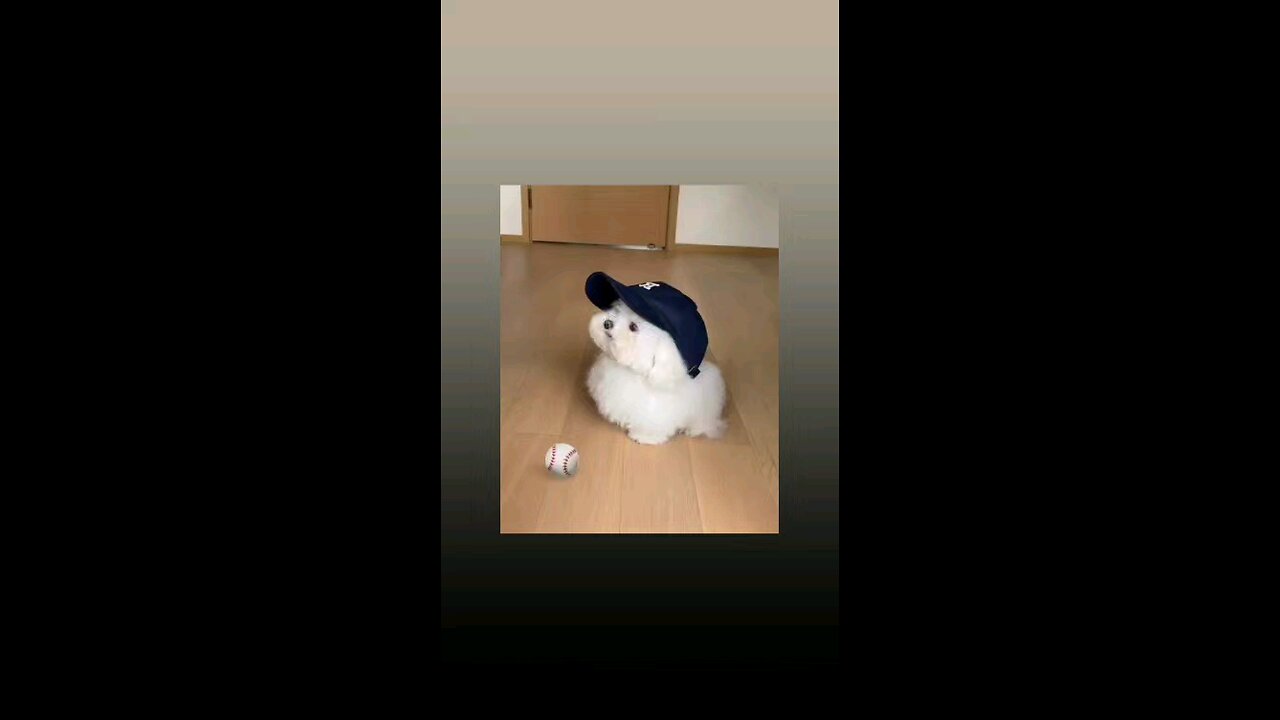 कितना मासूम है