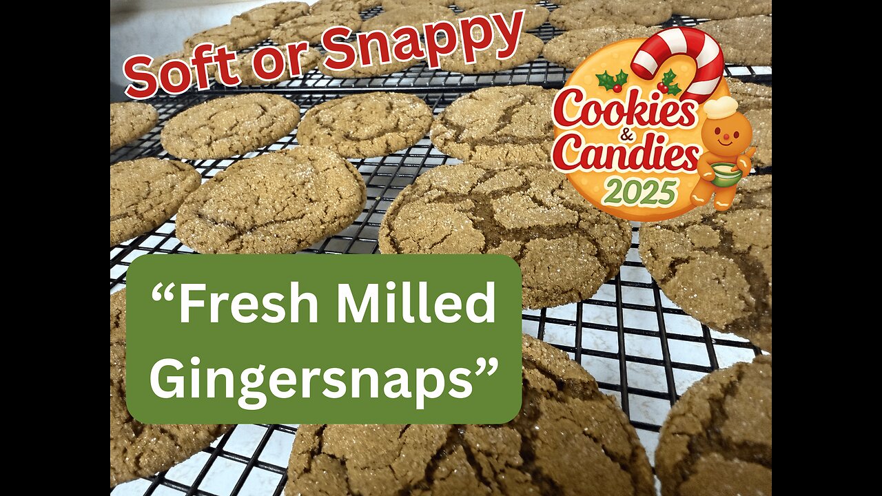 Fresh-Milled Molasses Gingersnaps | Soft & Chewy or Crisp! (Holiday Cookie Favorite)