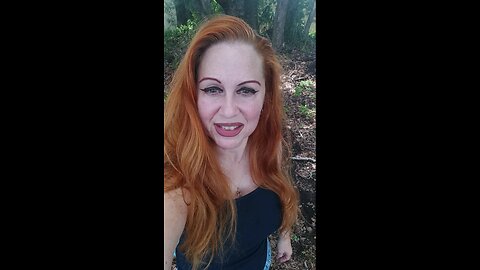 My life after Hurricane Milton/Living in my van by Johara Gemma