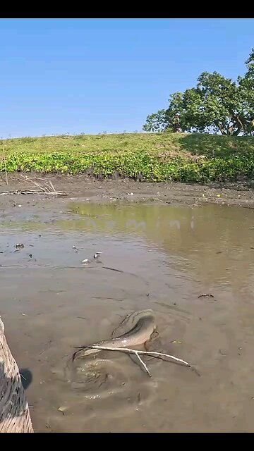 Too funny!How cute is that....Kindly Visit https://rumble.com/c/c-7597914 Kindly Visit https://rumble.com/c/c-7598304