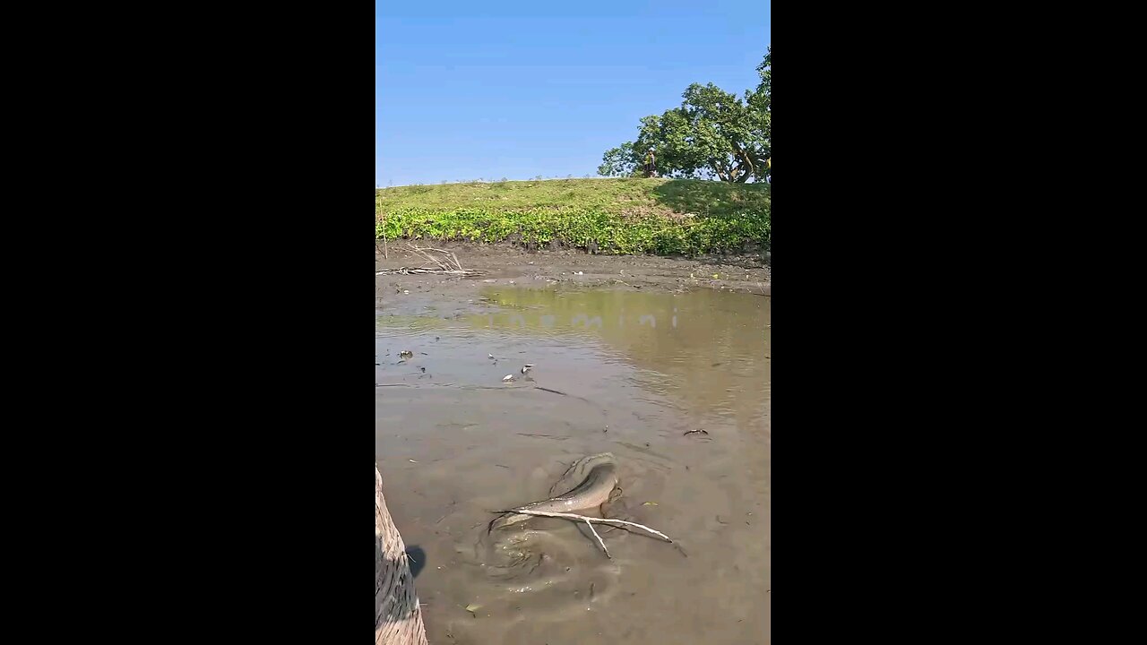 Too funny!How cute is that....Kindly Visit https://rumble.com/c/c-7597914 Kindly Visit https://rumble.com/c/c-7598304