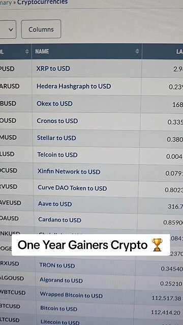 One Year Gainers Crypto 🏆