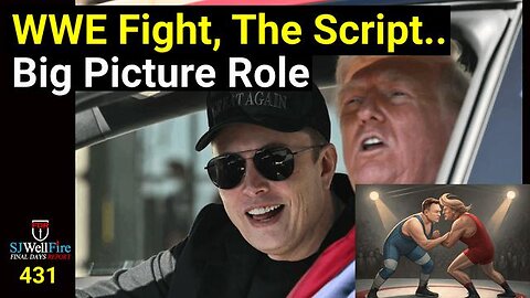 3 Reasons for the Trump / Elon WWE Fight