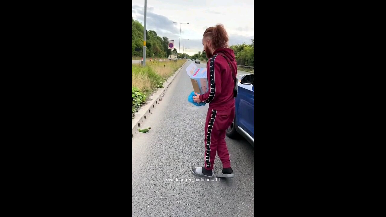 Man rescues a lost parrot