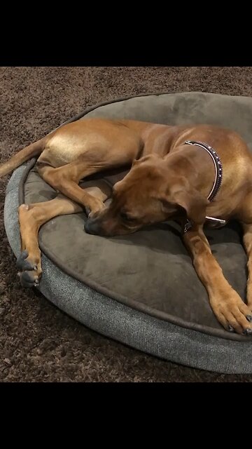 It’s groom your toes night