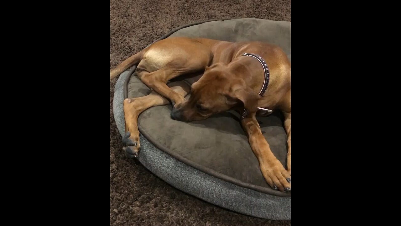 It’s groom your toes night