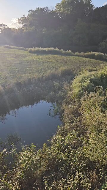 The Flooding has Receded