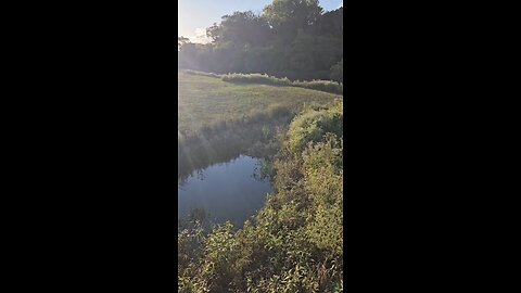 The Flooding has Receded