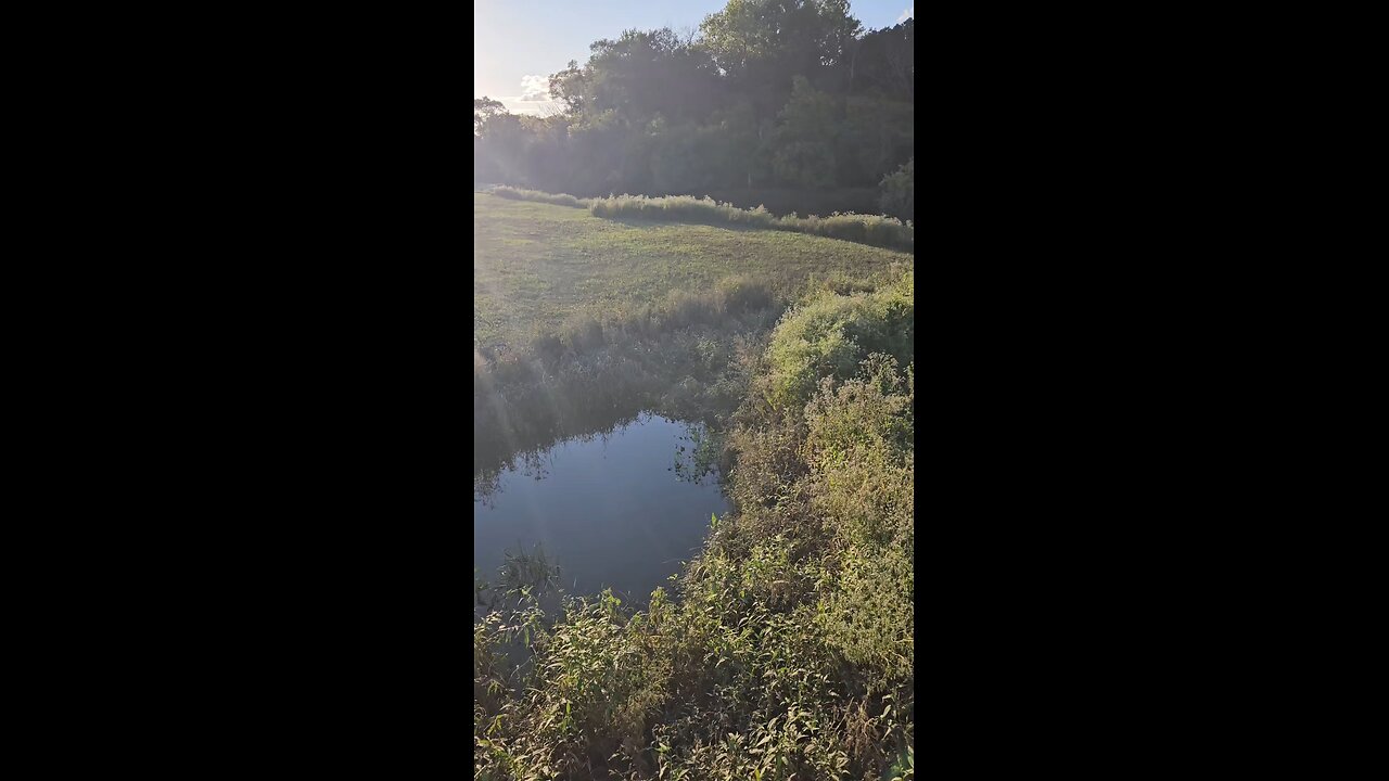 The Flooding has Receded