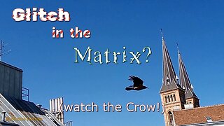 Glitch in the Matrix? Watch the Crow! (very strange things are happening lately...)