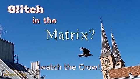 Glitch in the Matrix? Watch the Crow! (very strange things are happening lately...)