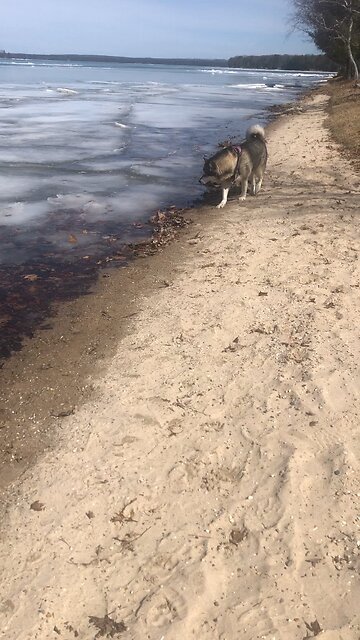 Sunday March 23, Then the veil is taken away