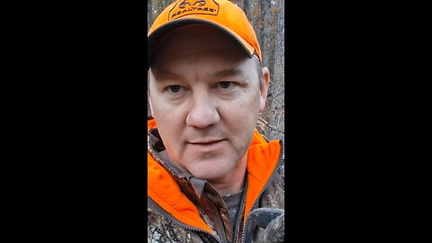 Good body, short on horns, short