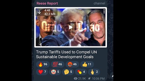 Greg Reese talks Tariffs for UN Sustainable Goals