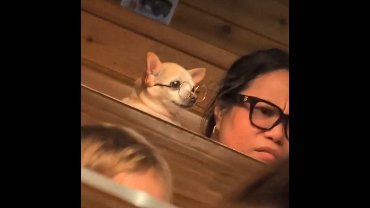 Cena por el Día del Padre: la curiosa aparición de un chihuahua