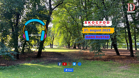 Skogpod 31. august 2025