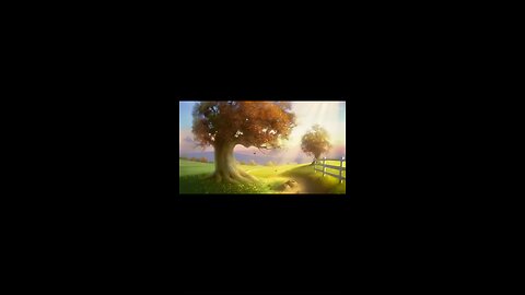 animation video