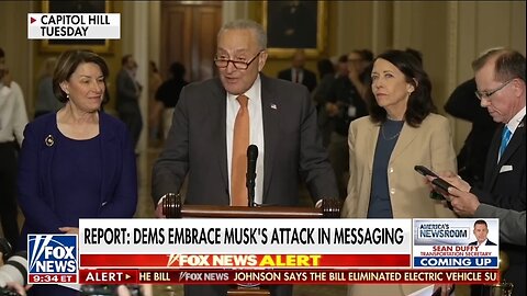 Democrats Agree With Elon Musk's Big Beautiful Bill Criticism