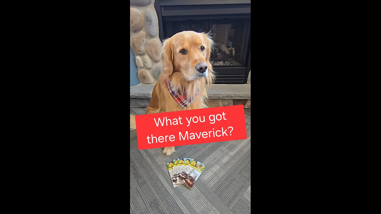 What you got there Maverick?