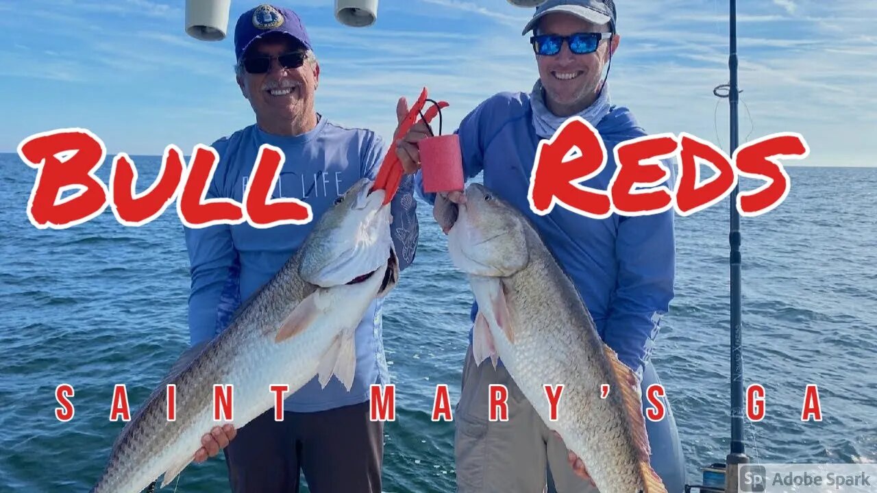 Near Shore Bulls Georgia Coast